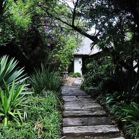 יוהנסבורג Birch Tree Cottage מראה חיצוני תמונה
